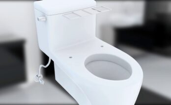 Uspa Bidet Troubleshooting